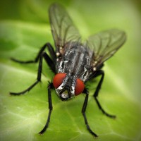 /album/arexnelane/photolia-a01-jpg/