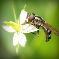 /album/arexnelane/photolia-a02-jpg/