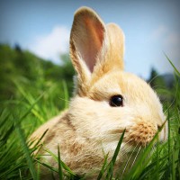 /album/arexnelane/photolia-a03-jpg/