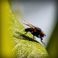 /album/arexnelane/photolia-a04-jpg/