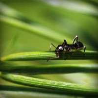 /album/arexnelane/photolia-a05-jpg/