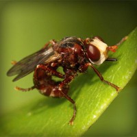 /album/arexnelane/photolia-a06-jpg/