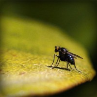 /album/arexnelane/photolia-a07-jpg/