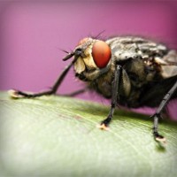 /album/arexnelane/photolia-a08-jpg/